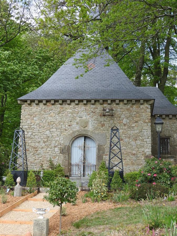 Chateau De Montbrault Fleurigné Esterno foto